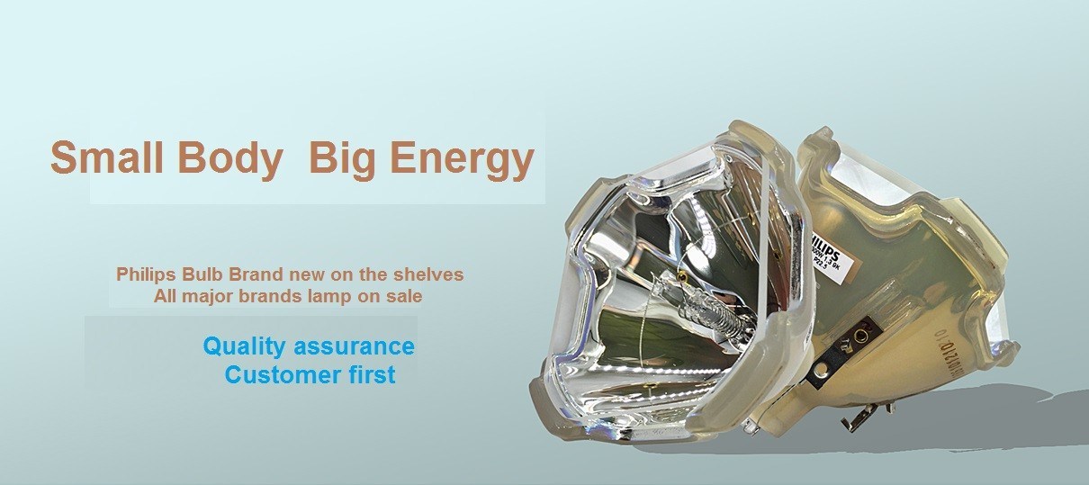 Qualität Projektor-Birnen usine