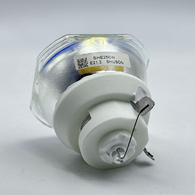 Projektorlampen der Marke Shusen, kompatibel mit Projektorlampen der Marken Epson ELPLP85, ELPLP89 und ELPLP91 (SHE250W, E21.3)